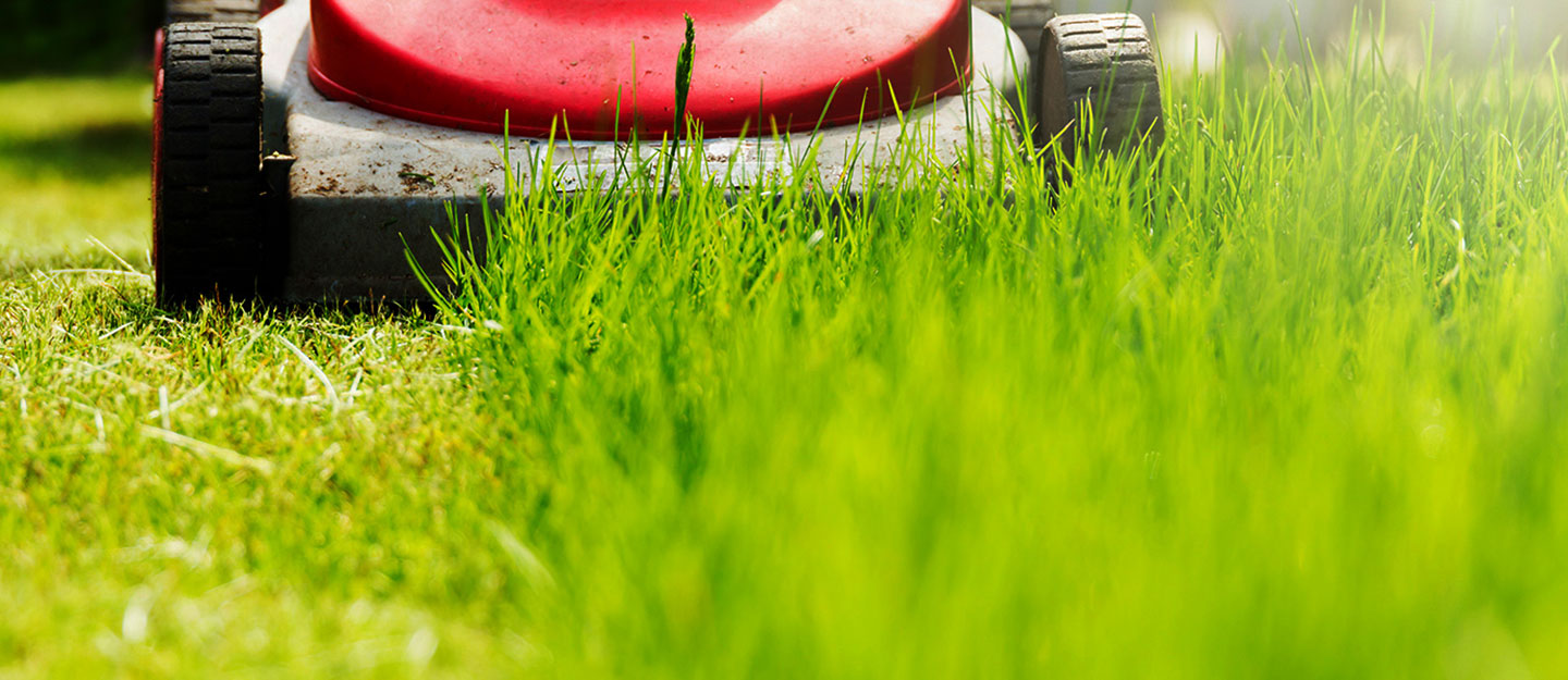 Servicii de curățenie exterioară